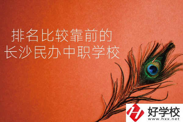 長沙哪些民辦中職學(xué)校排名比較靠前？