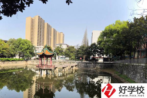 邵陽工業(yè)學校風景