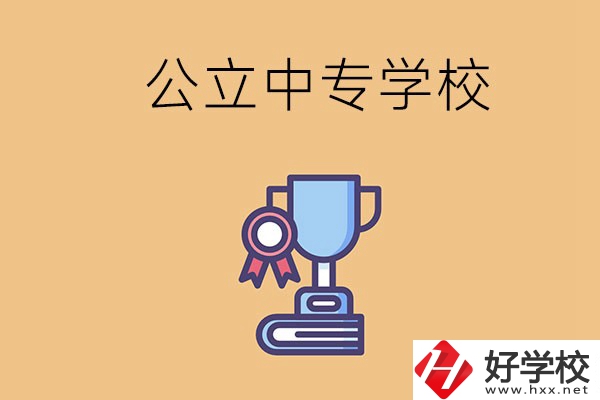 常德的公立中專學(xué)校有哪些？有什么特色？