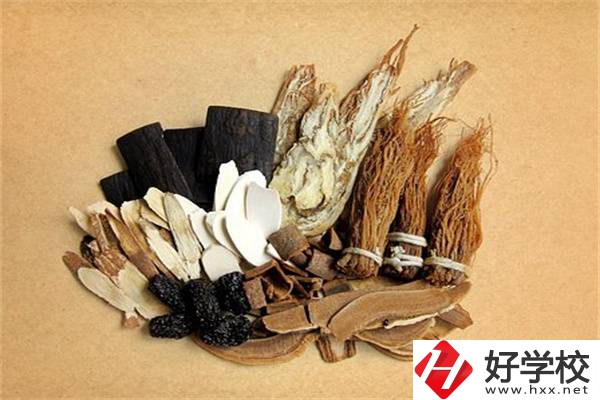 在湘西學(xué)中草藥栽培怎么樣？開設(shè)此專業(yè)的學(xué)校有哪些？