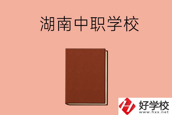 湖南有哪些就業(yè)率比較高的中職學(xué)校？