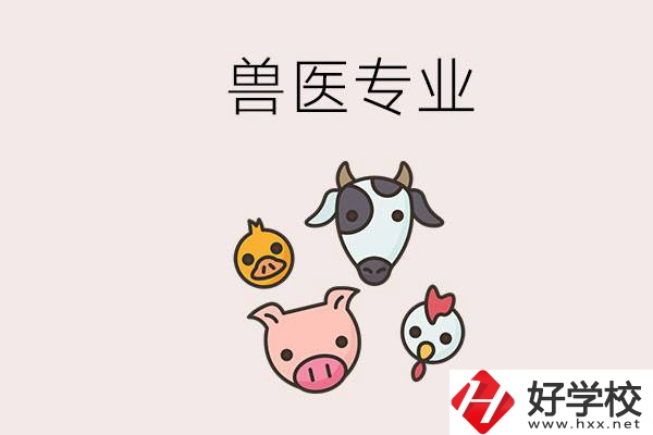 湖南哪些職校能學獸醫(yī)專業(yè)？學獸醫(yī)前景怎么樣？