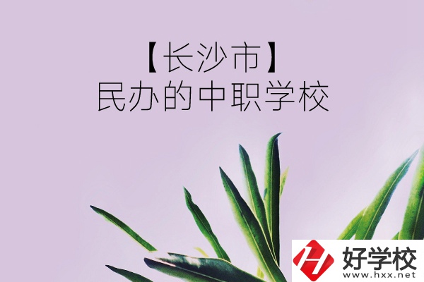 長(zhǎng)沙市有哪些民辦的中職學(xué)校？