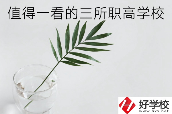 湖南有什么好的職高學(xué)校？這3所學(xué)校值得一看！