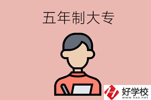 長(zhǎng)沙比較容易進(jìn)的五年制大專有哪些？