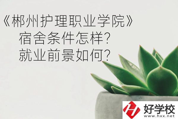 郴州護(hù)理職業(yè)學(xué)院宿舍條件怎樣？就業(yè)前景如何？