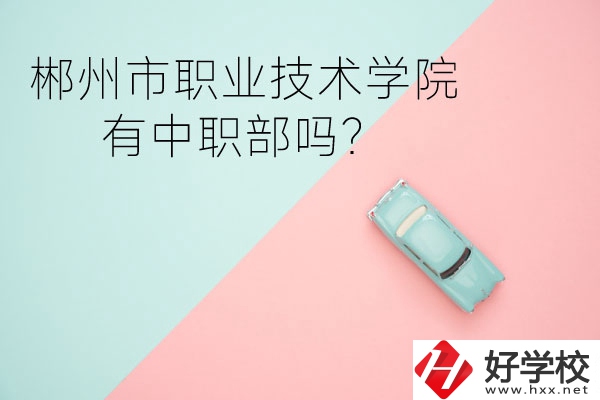 郴州市職業(yè)技術學院有中職部嗎？