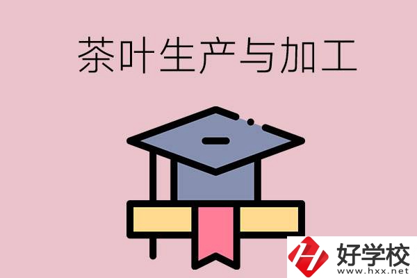 湖南哪些技校開設(shè)了茶葉生產(chǎn)與加工專業(yè)？