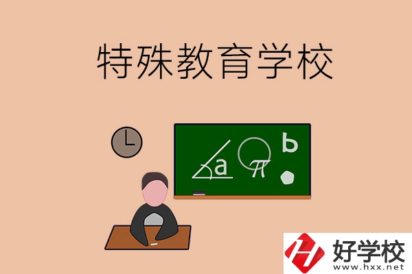 湖南省有哪些特殊教育學(xué)校？