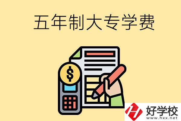 在長沙讀五年制大專一年學(xué)費(fèi)是多少？有補(bǔ)貼嗎？