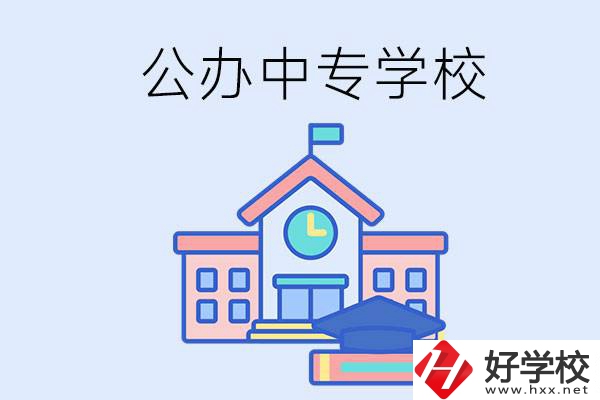 湘西一共有多少所公辦的中專(zhuān)學(xué)校？