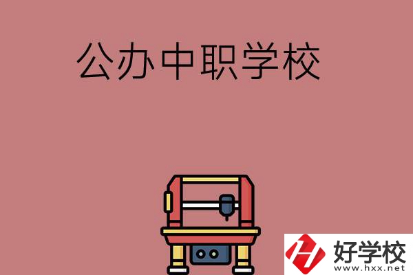 長沙可以學(xué)計算機(jī)應(yīng)用專業(yè)的公辦中職學(xué)校有哪些？