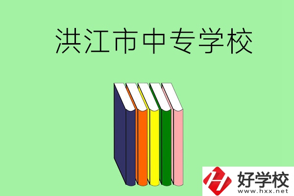 懷化洪江市有哪些職業(yè)中專學(xué)校？