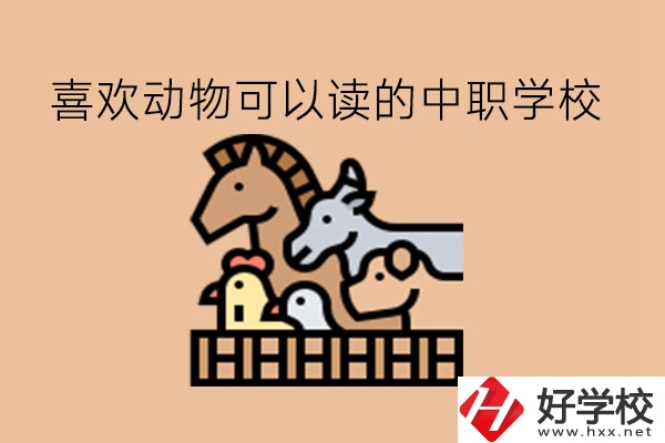 喜歡動物的學(xué)生，可以讀這些中職學(xué)校!