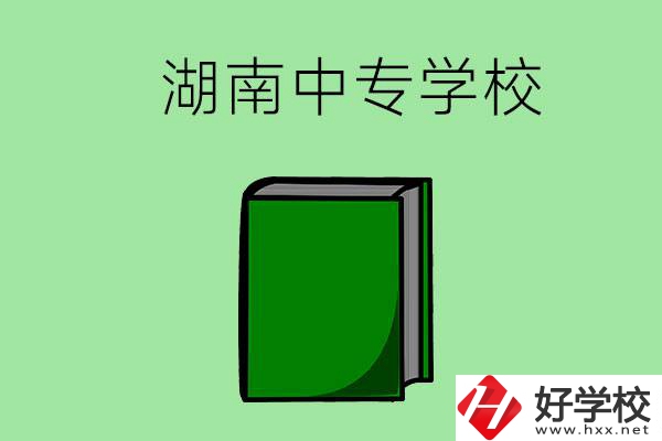 湖南的中專學校有哪些？都開設了哪些專業(yè)？