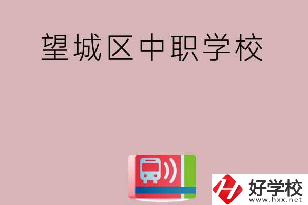 長(zhǎng)沙望城區(qū)有哪些中職學(xué)校？