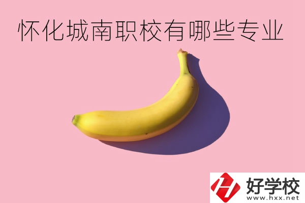 懷化城南職業(yè)學(xué)校有哪些專業(yè)？學(xué)校好不好？