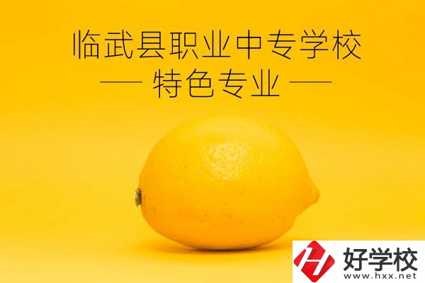 臨武縣職業(yè)中專學(xué)校好嗎？有哪些特色專業(yè)？