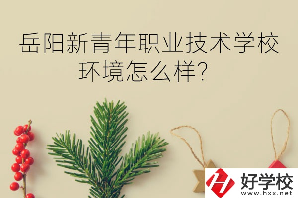 岳陽新青年職業(yè)技術(shù)學校好不好？環(huán)境怎么樣？