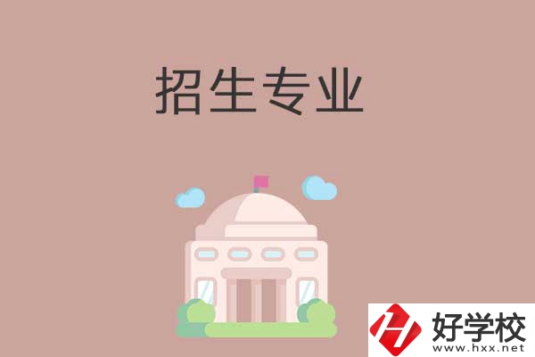 益陽有哪些高職院校設(shè)立了中職部？招生專業(yè)有哪些？