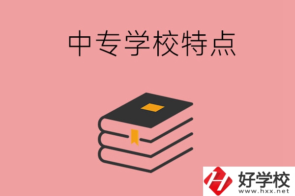 湖南省正規(guī)的中專(zhuān)學(xué)校，具備哪些特點(diǎn)？