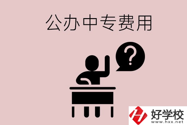 長沙中專哪所學(xué)校費(fèi)用少一點(diǎn)？首選這兩所公辦學(xué)校！