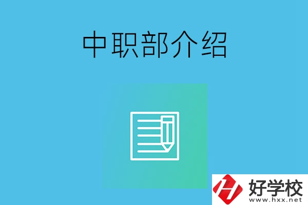 湘潭院校中職部介紹，這幾所學(xué)校你知道嗎？