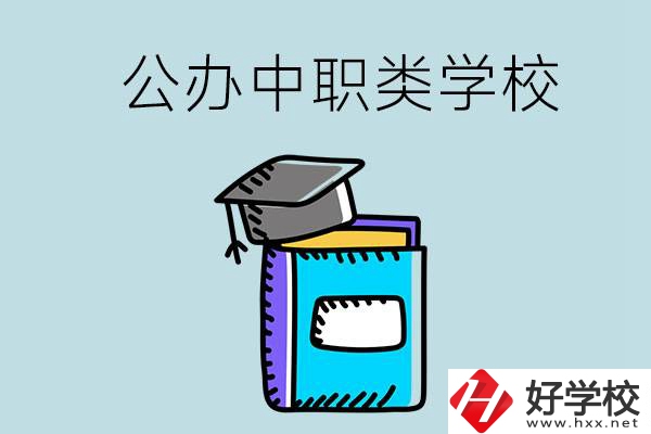 湘西的公辦中職類學(xué)校一共有多少所？