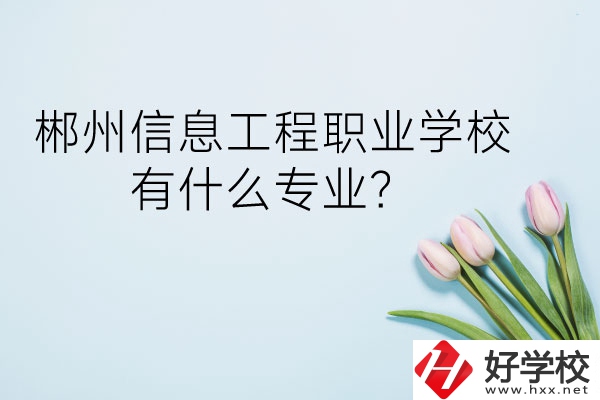 郴州信息工程職業(yè)學校有什么專業(yè)？