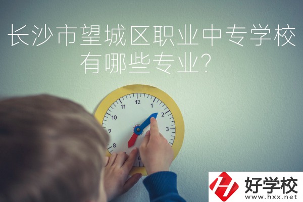 長沙市望城區(qū)職業(yè)中等專業(yè)學(xué)校有哪些專業(yè)？