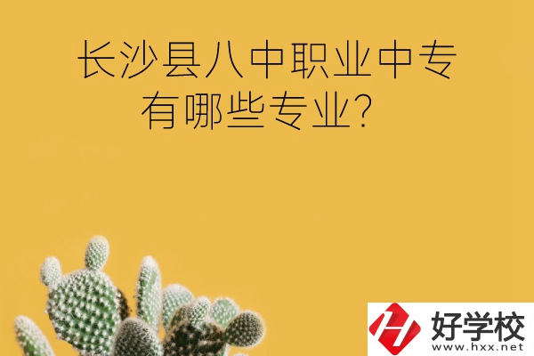 長(zhǎng)沙縣八中職業(yè)中專(zhuān)好不好？有哪些專(zhuān)業(yè)？