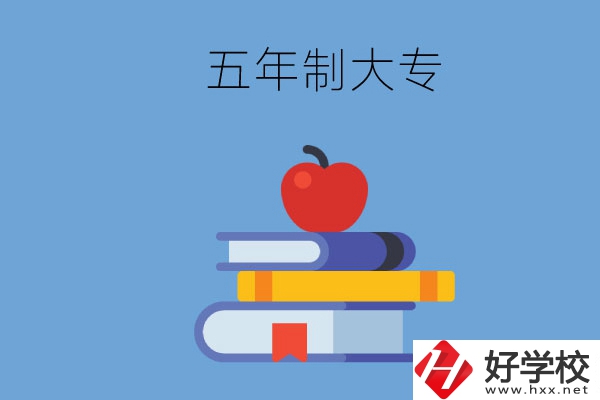 長(zhǎng)沙開設(shè)教育類專業(yè)的五年制大專有哪些？