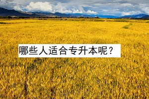 哪些人適合專升本呢？