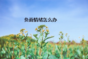 負(fù)面情緒怎么辦