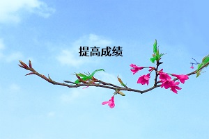 提高成績(jī)