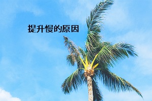 提升慢的原因