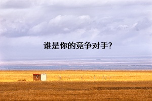 誰(shuí)是你的競(jìng)爭(zhēng)對(duì)手？