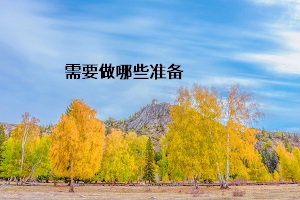 需要做哪些準(zhǔn)備