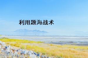 利用題海戰(zhàn)術(shù)