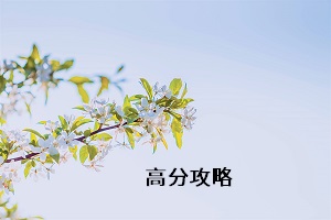 高分攻略