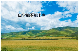 自學(xué)能不能上岸