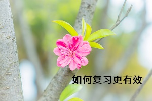 如何復(fù)習(xí)更有效
