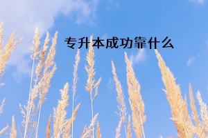 專升本成功靠什么