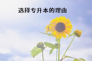選擇專升本的理由