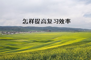 怎樣提高復(fù)習(xí)效率