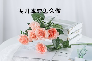 專(zhuān)升本要怎么做