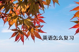 英語怎么復(fù)習(xí)