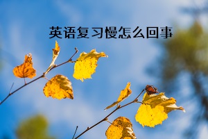 英語復(fù)習(xí)慢怎么回事