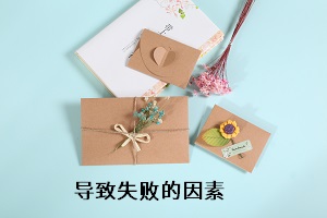 導(dǎo)致失敗的因素