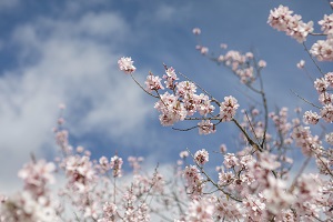 沒(méi)做好的幾點(diǎn)